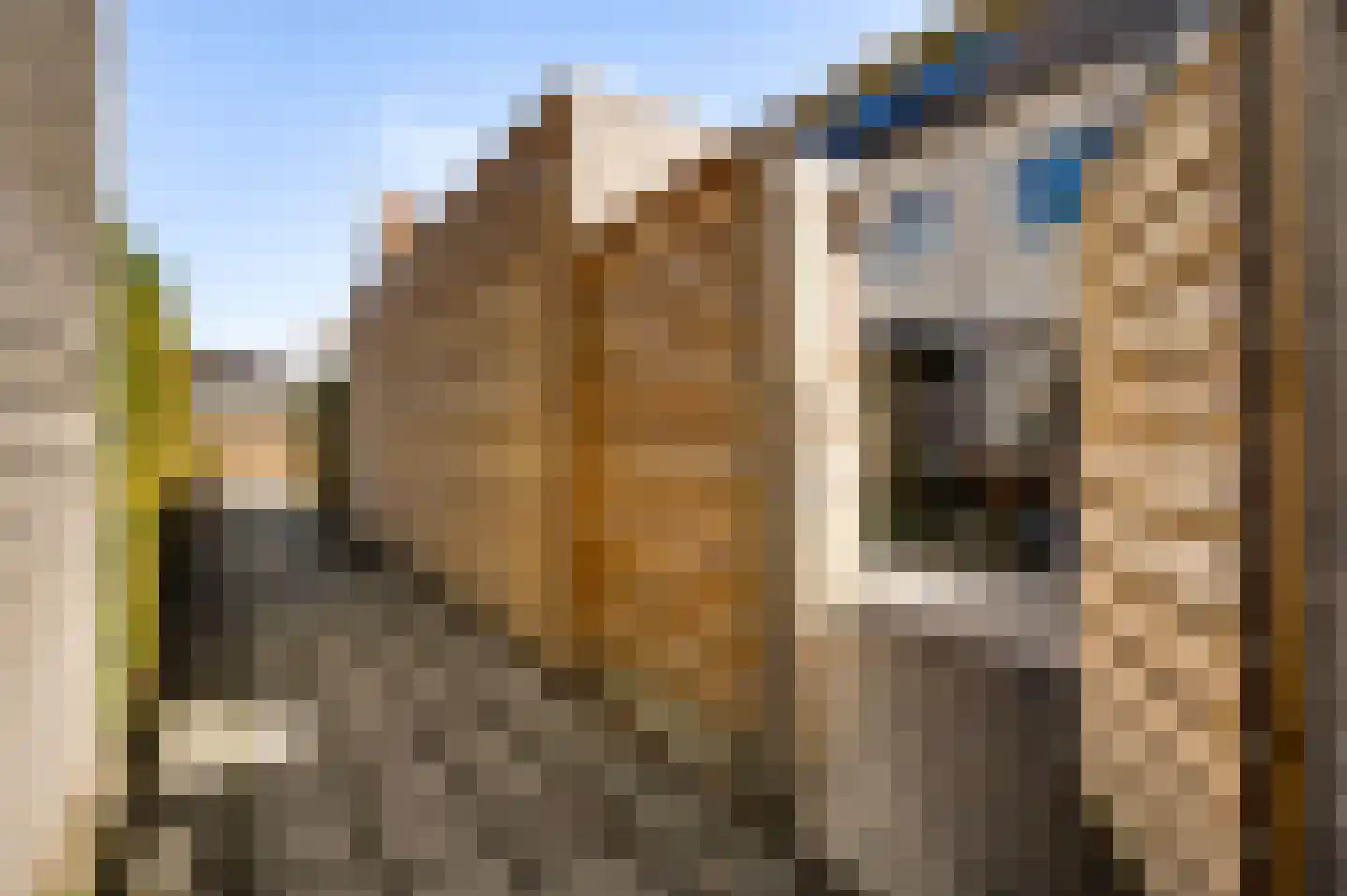 Loijerdonk 14 Helmond thumbnail 38