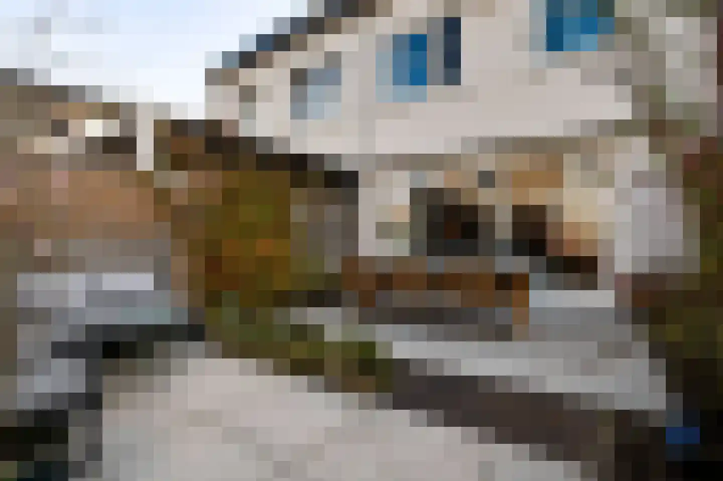 Loijerdonk 14 Helmond thumbnail 6
