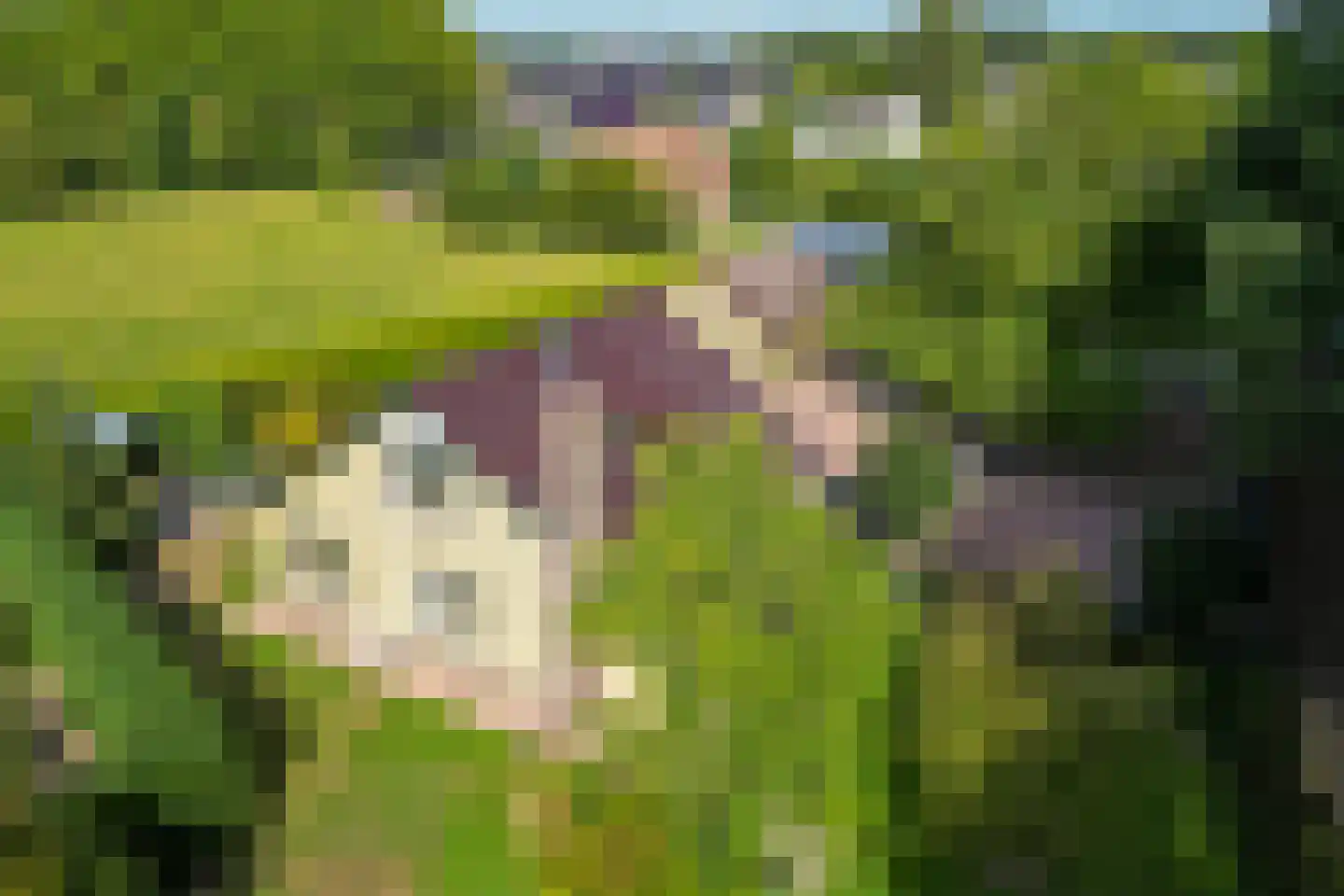 Loilseweg 2 Didam