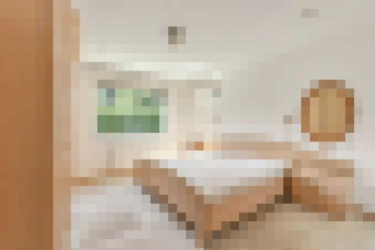 Loilseweg 2 Didam thumbnail 15