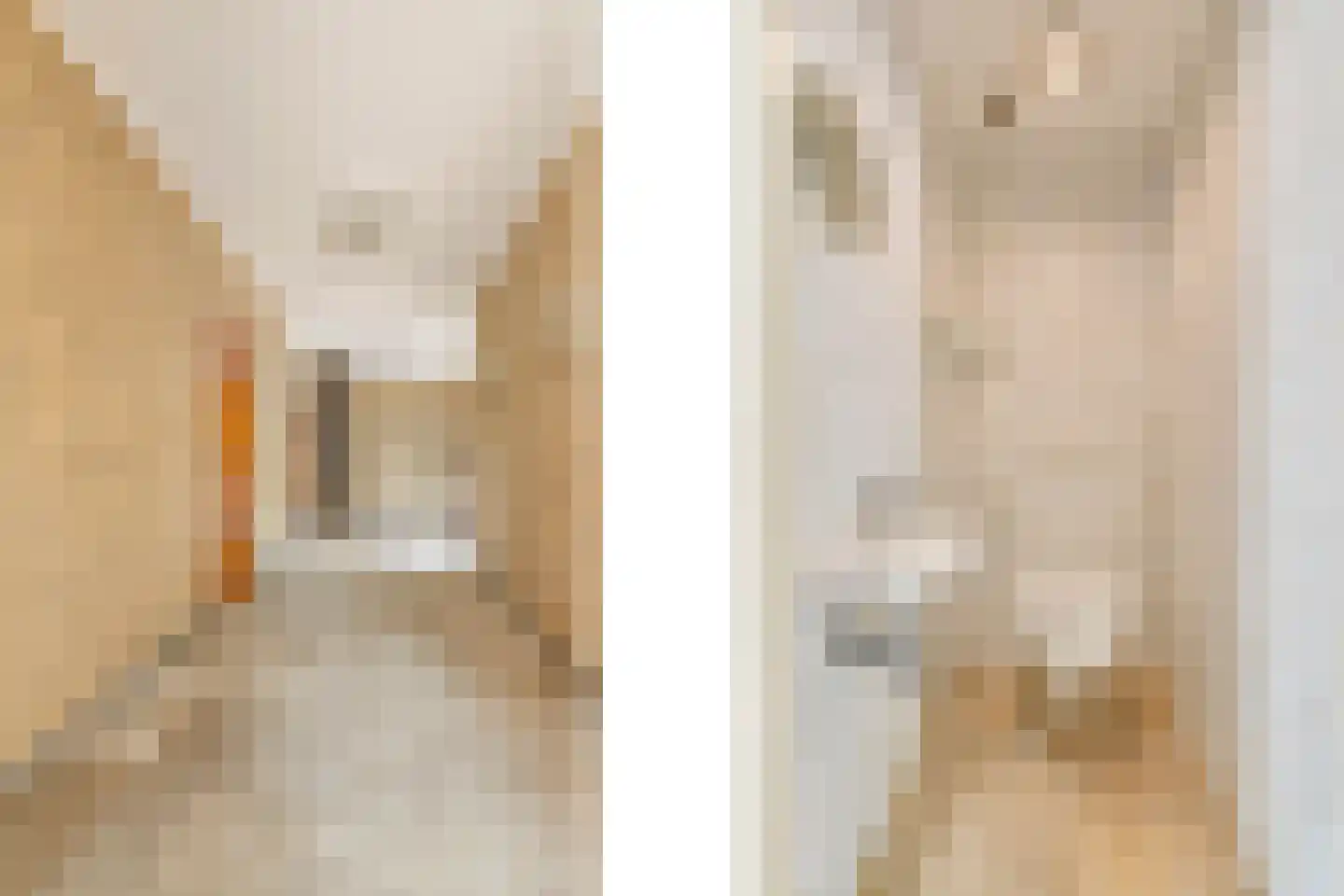 Loilseweg 2 Didam thumbnail 18