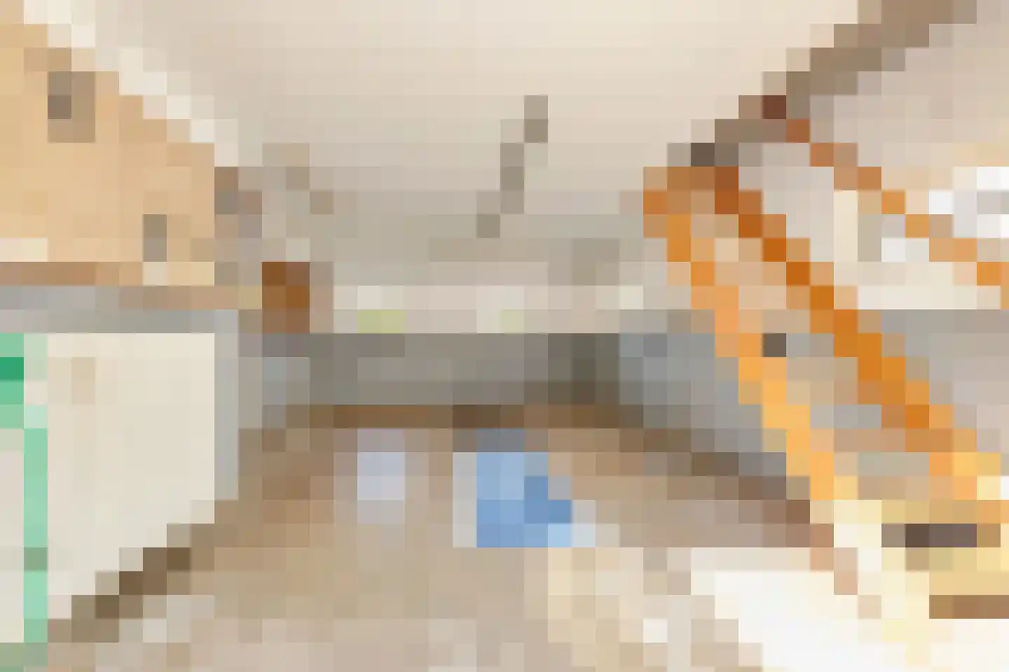 Loilseweg 2 Didam thumbnail 21