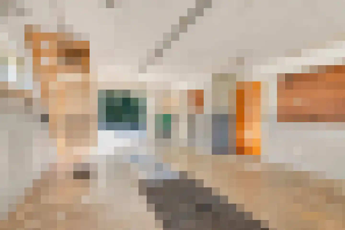 Loilseweg 2 Didam thumbnail 22