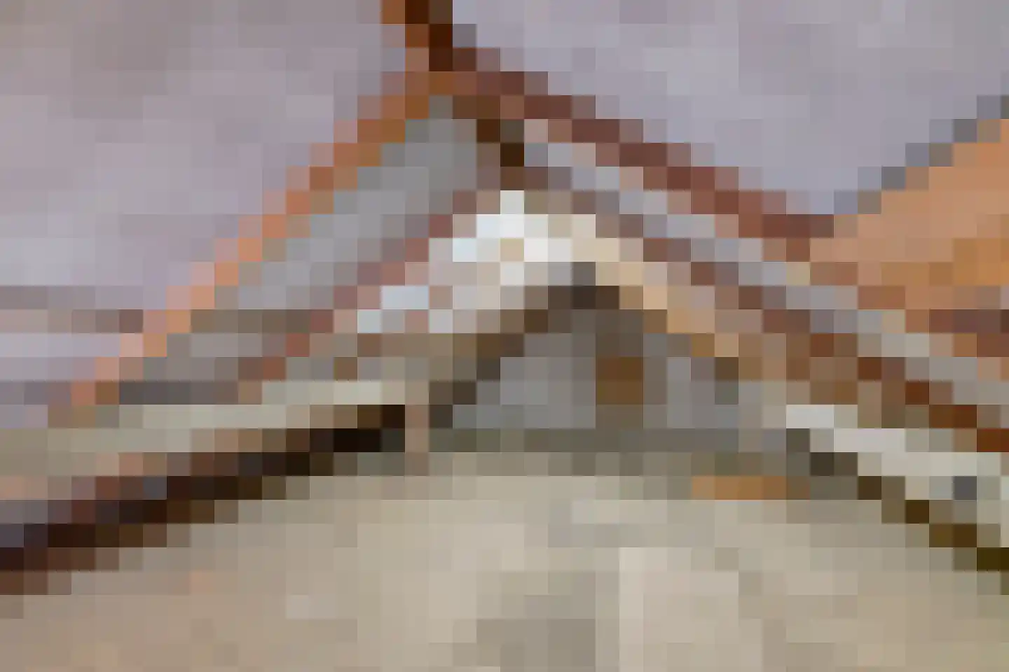 Loilseweg 2 Didam thumbnail 23