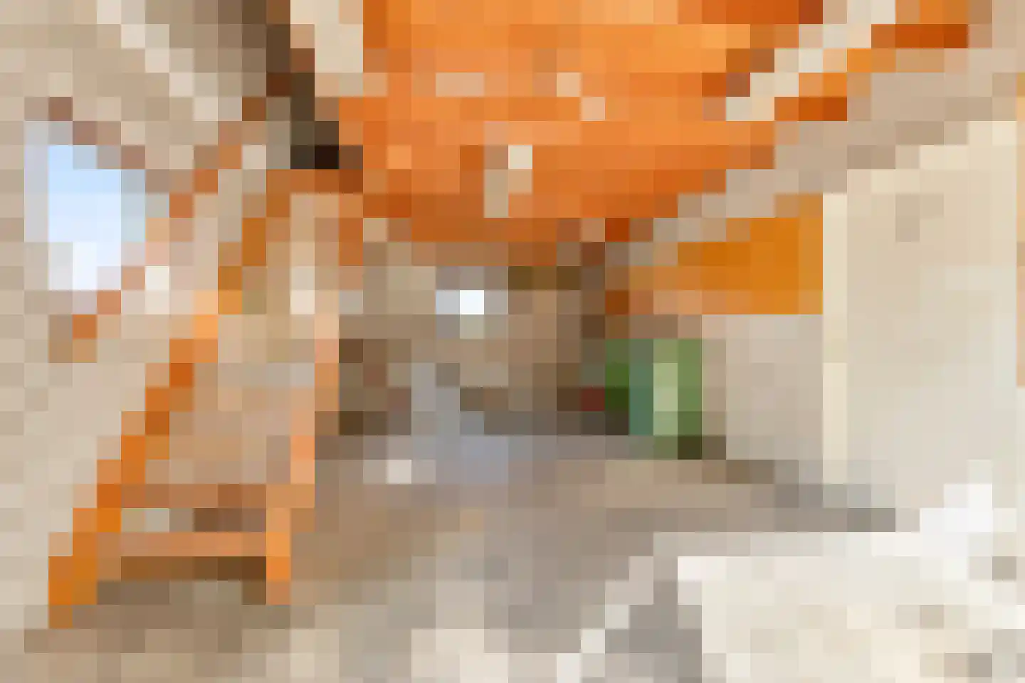 Loilseweg 2 Didam thumbnail 32