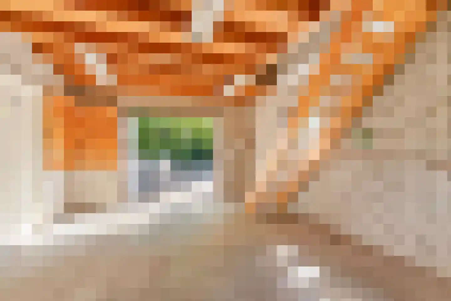 Loilseweg 2 Didam thumbnail 33