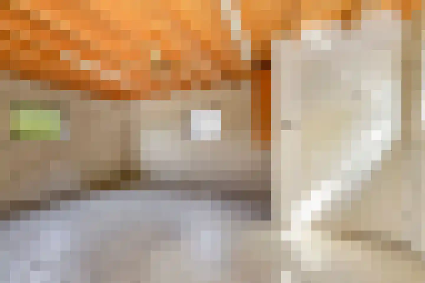 Loilseweg 2 Didam thumbnail 34