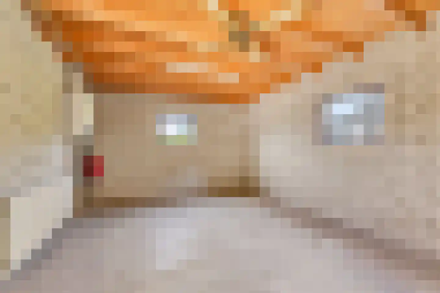Loilseweg 2 Didam thumbnail 35