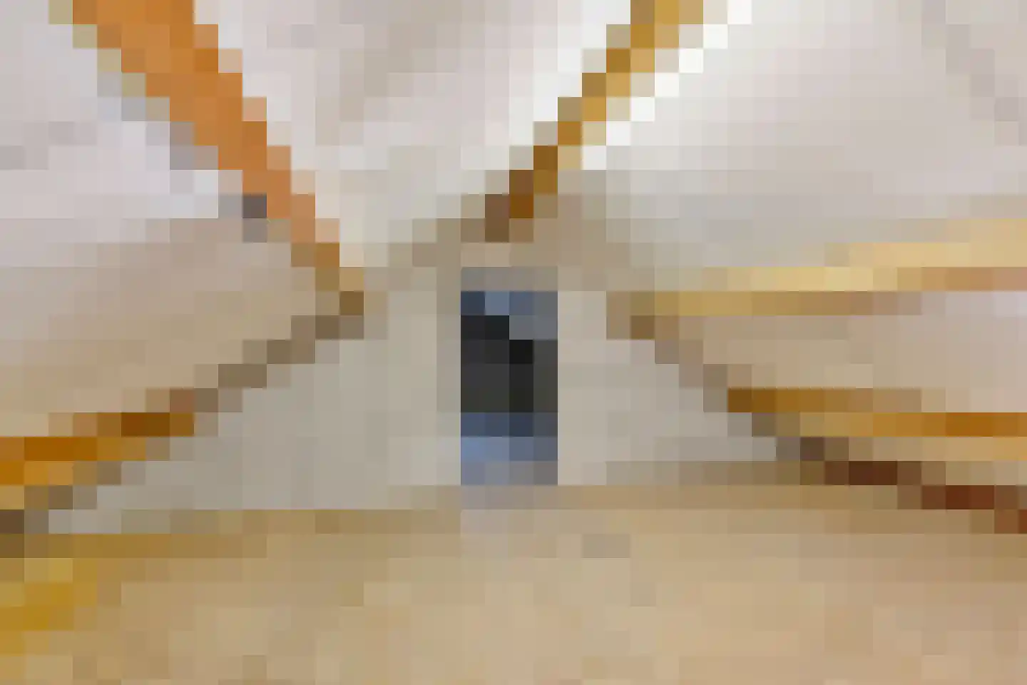 Loilseweg 2 Didam thumbnail 37