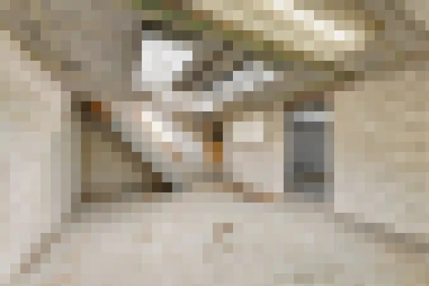 Loilseweg 2 Didam thumbnail 39