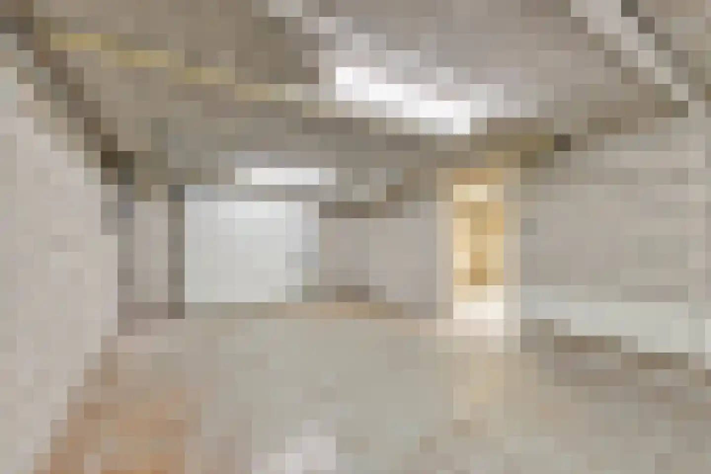 Loilseweg 2 Didam thumbnail 40