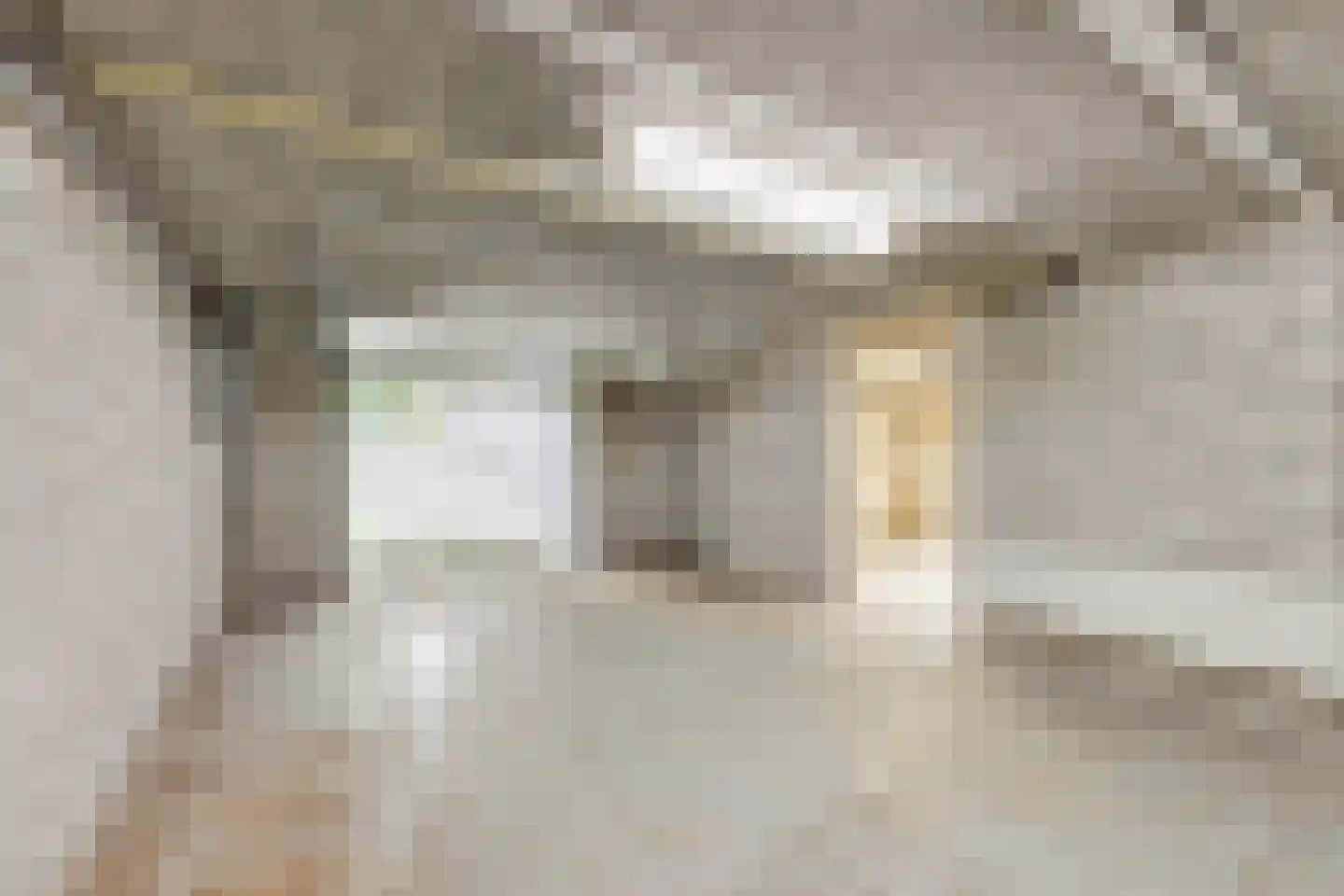 Loilseweg 2 Didam thumbnail 41