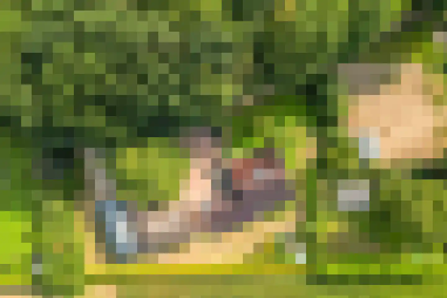 Loilseweg 2 Didam thumbnail 45