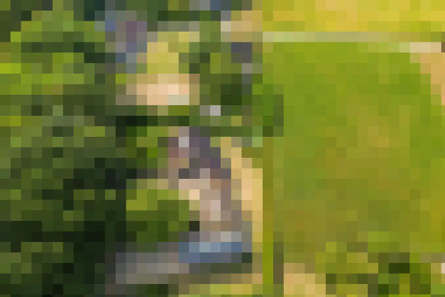 Loilseweg 2 Didam thumbnail 46