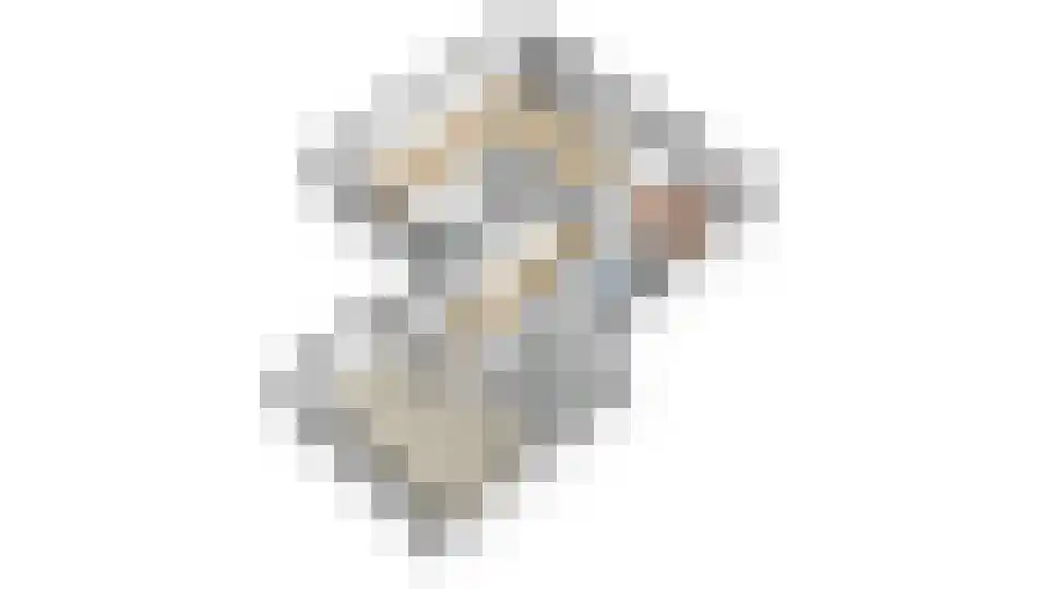 Loilseweg 2 Didam thumbnail 48