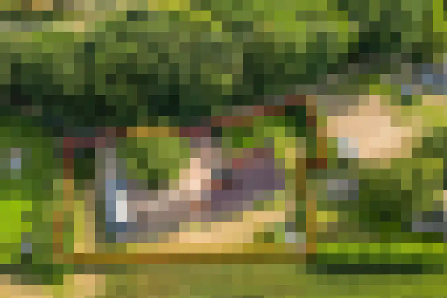 Loilseweg 2 Didam thumbnail 5