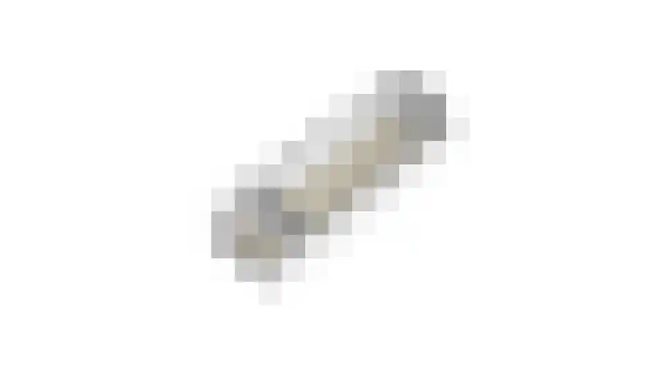 Loilseweg 2 Didam thumbnail 52