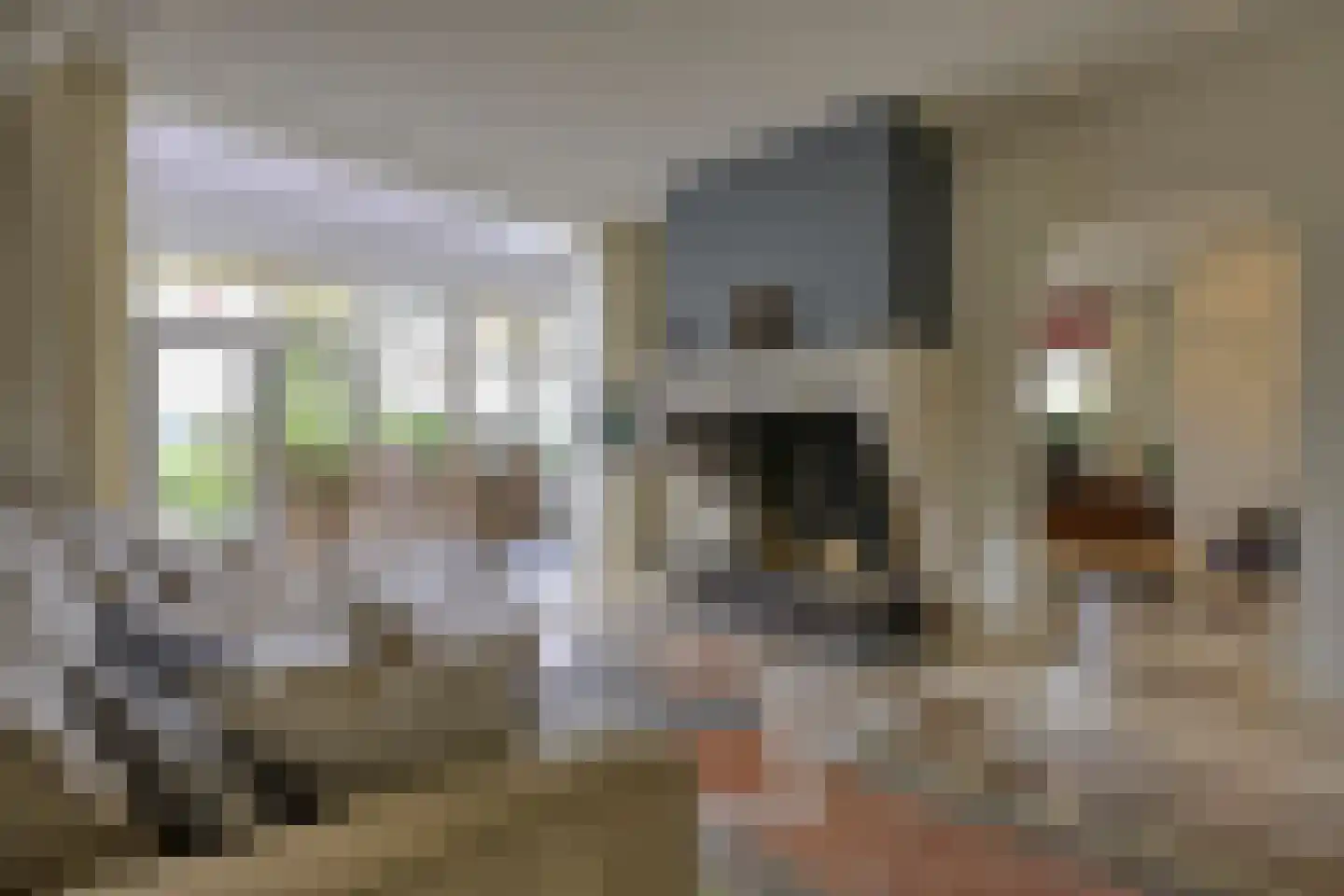 Loilseweg 7 B Wehl thumbnail 11
