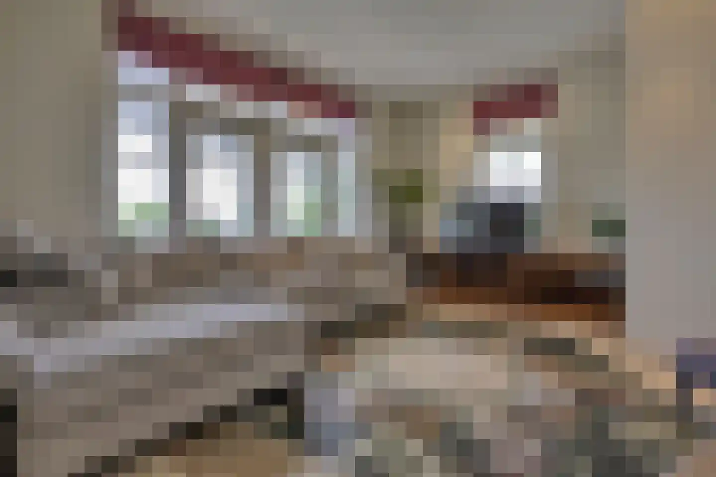 Loilseweg 7 B Wehl thumbnail 12