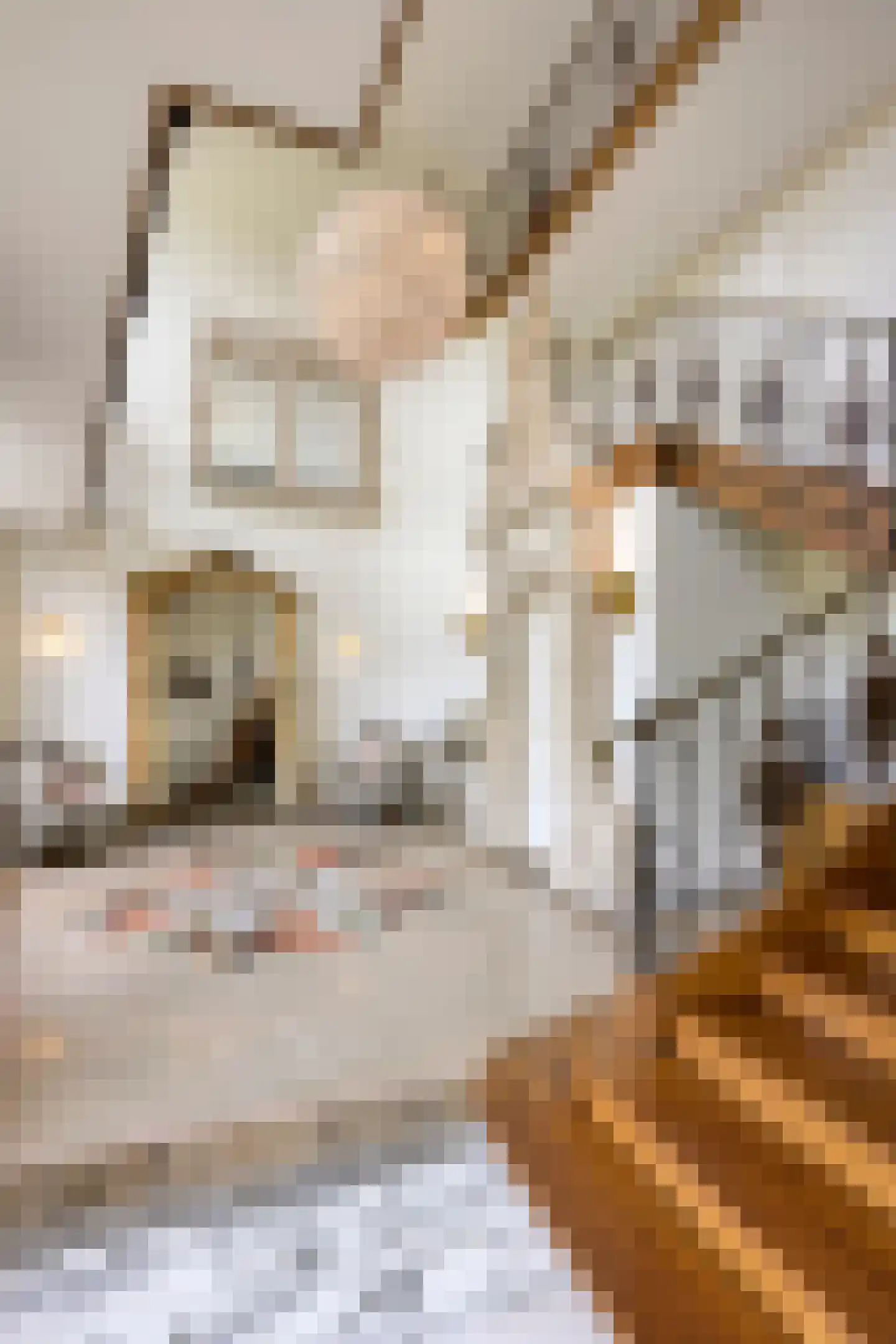 Loilseweg 7 B Wehl thumbnail 24