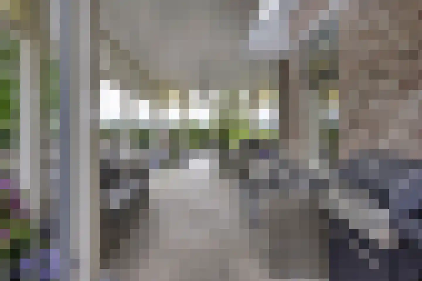 Loilseweg 7 B Wehl thumbnail 48