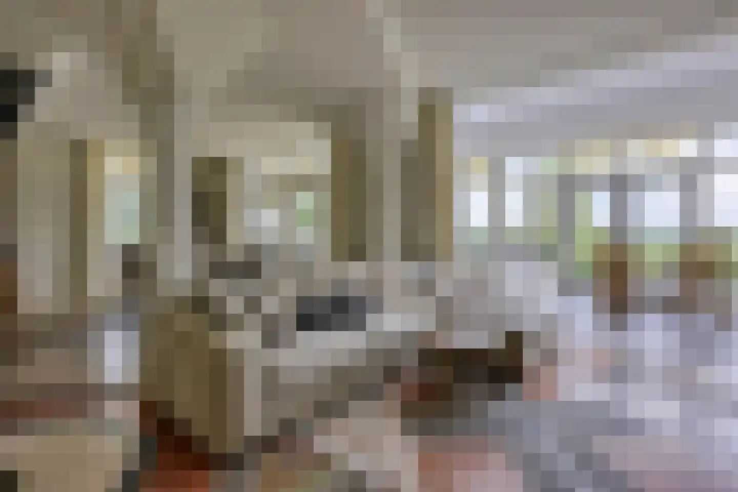 Loilseweg 7 B Wehl thumbnail 5