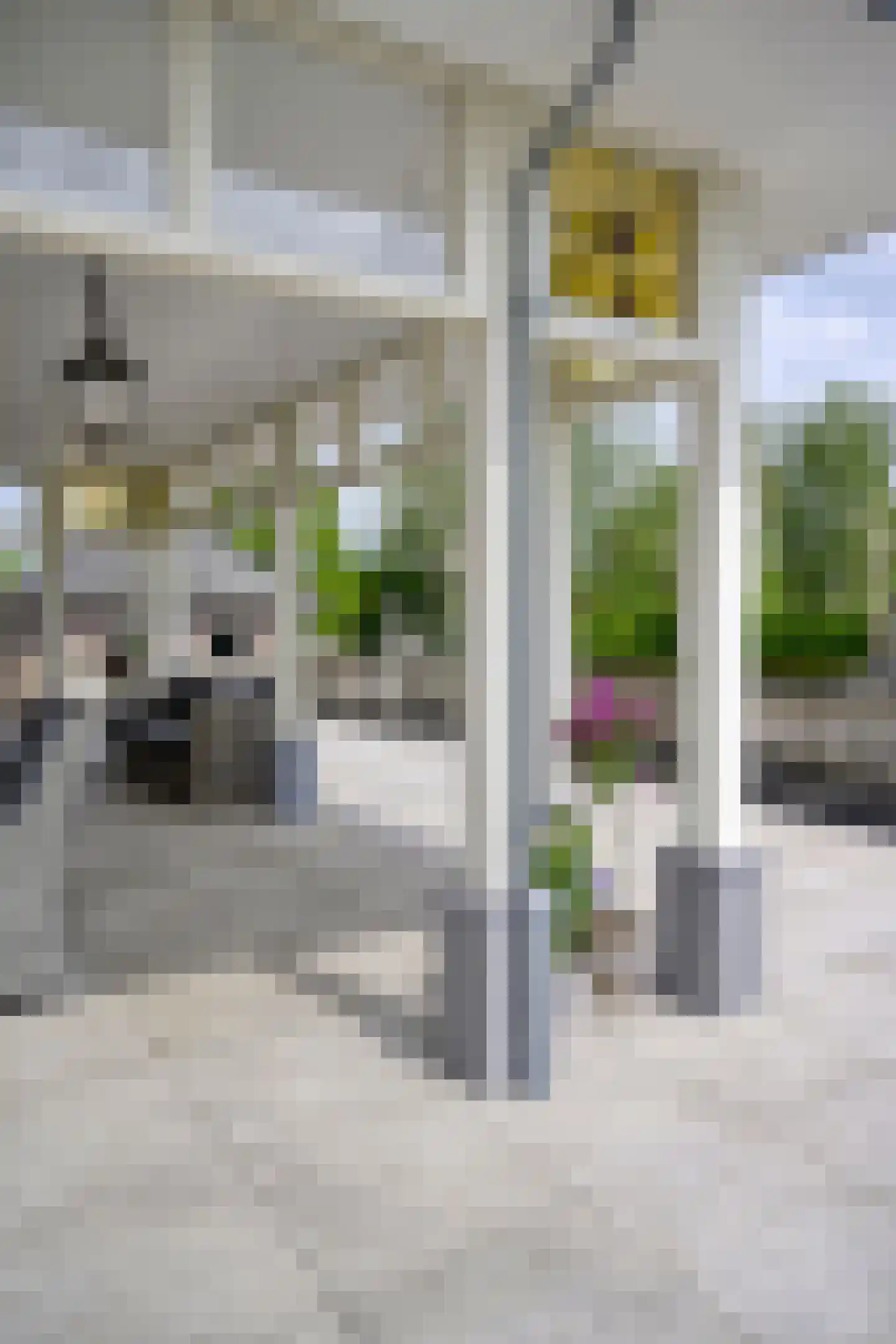 Loilseweg 7 B Wehl thumbnail 54