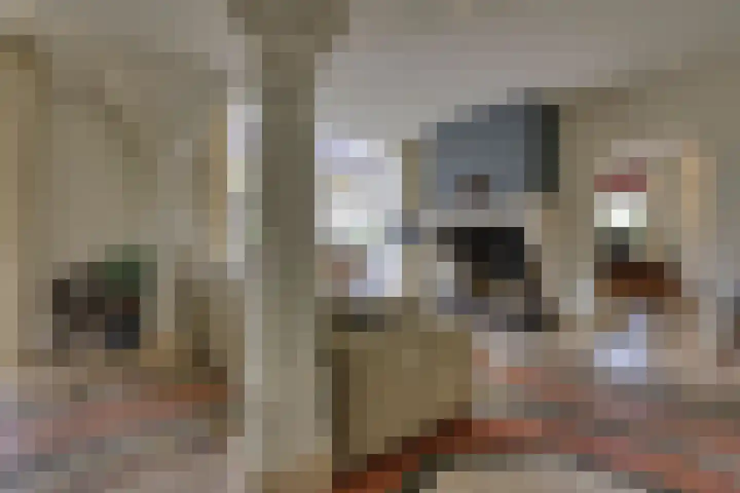 Loilseweg 7 B Wehl thumbnail 8