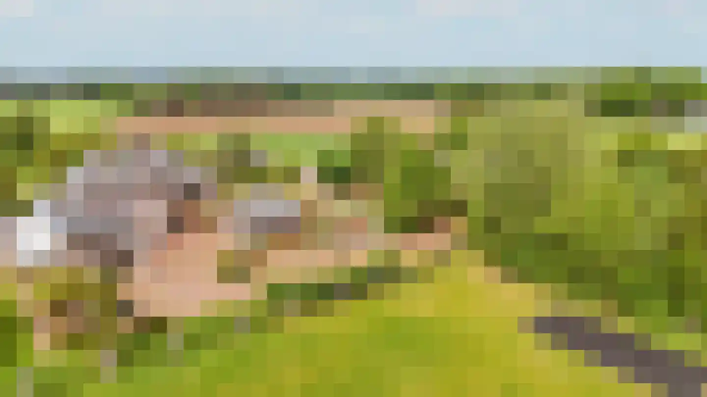 Loilseweg 7 B Wehl thumbnail 81
