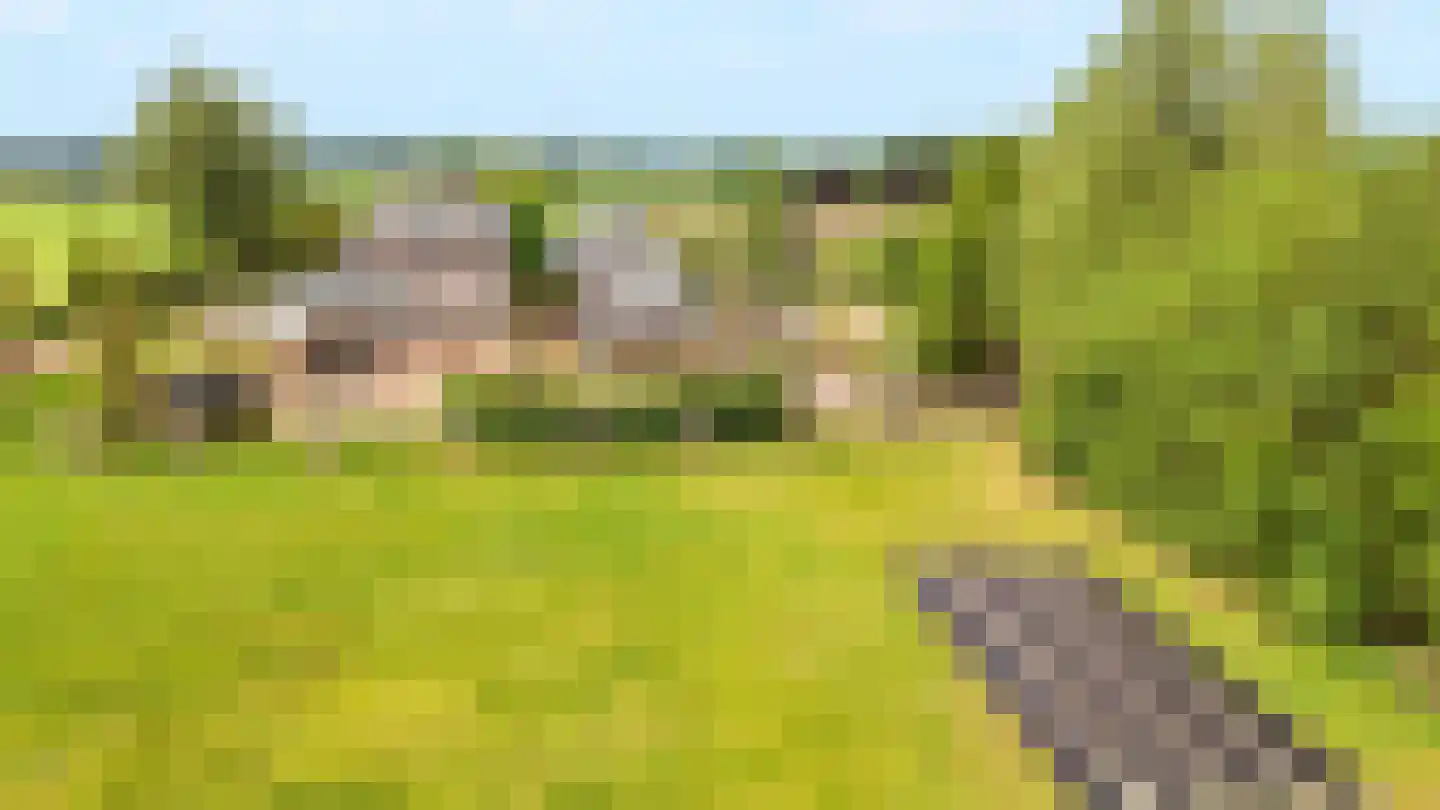 Loilseweg 7 B Wehl thumbnail 82