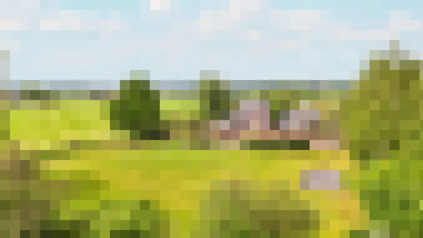 Loilseweg 7 B Wehl thumbnail 83