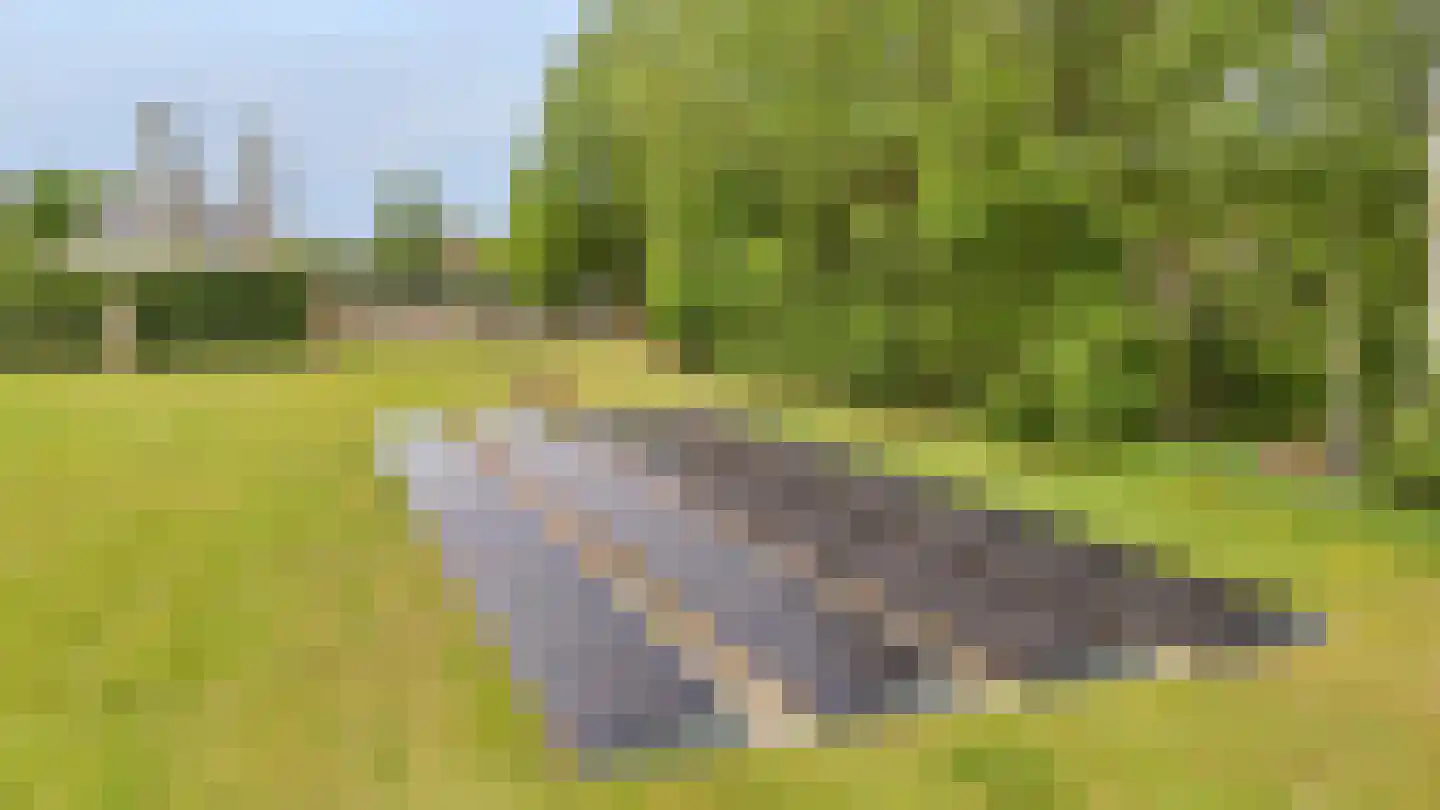 Loilseweg 7 B Wehl thumbnail 84