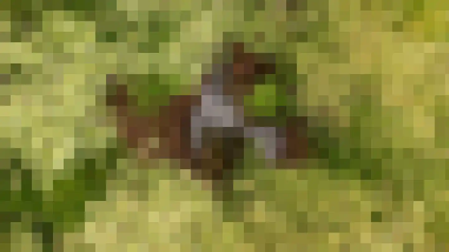 Loilseweg 7 B Wehl thumbnail 85