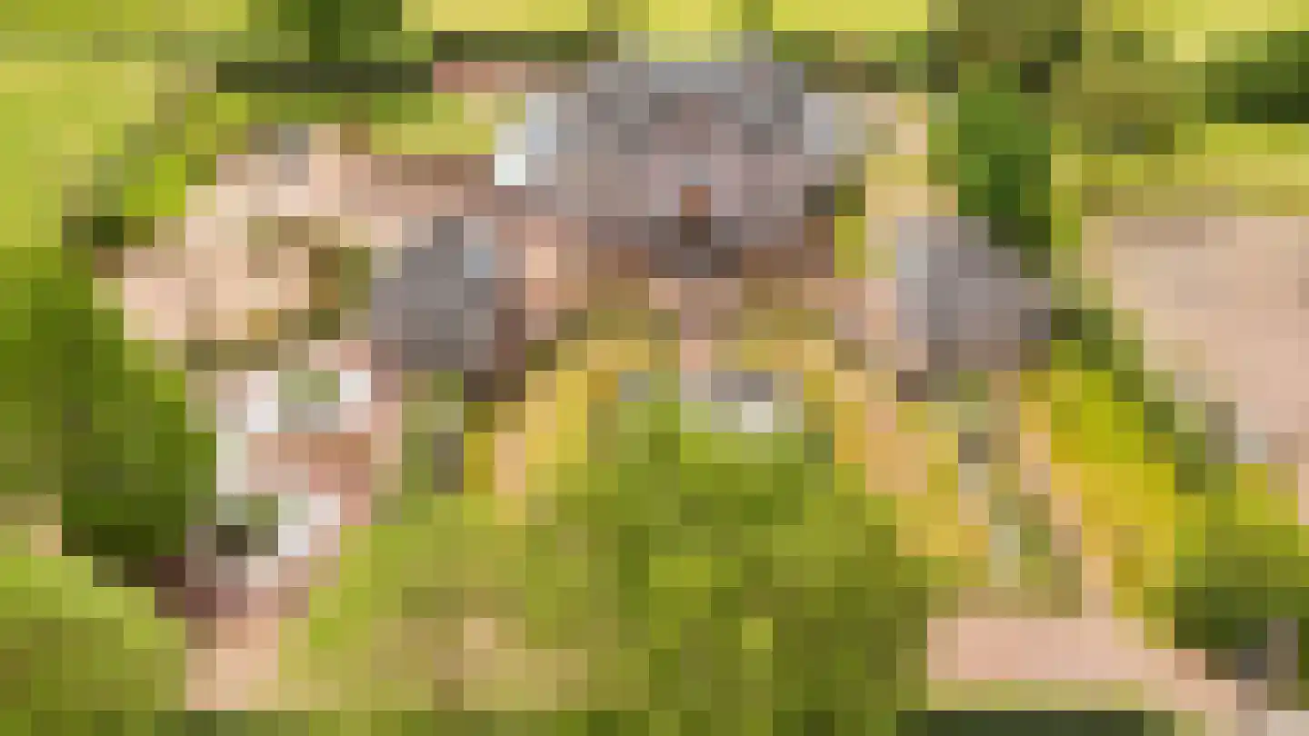 Loilseweg 7 B Wehl thumbnail 86