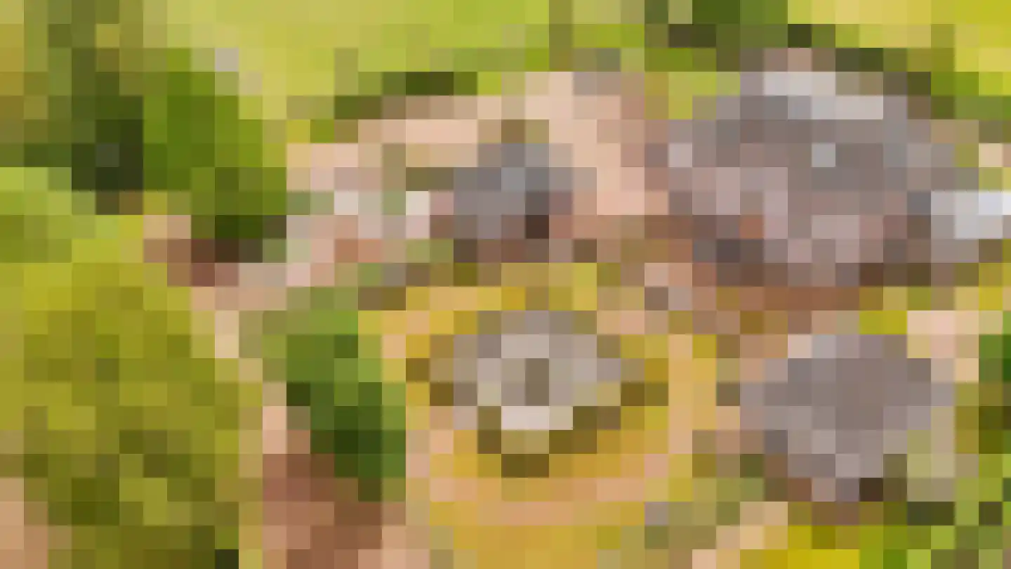 Loilseweg 7 B Wehl thumbnail 87