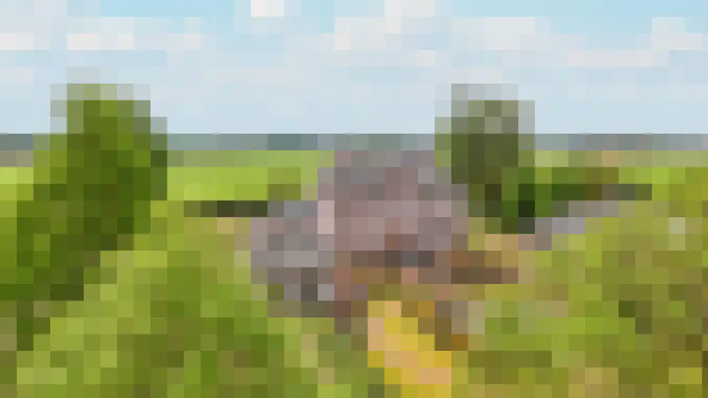 Loilseweg 7 B Wehl thumbnail 88