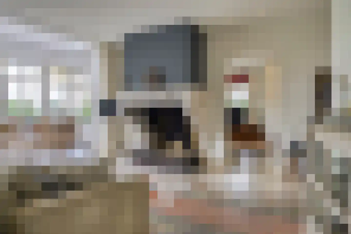 Loilseweg 7 B Wehl thumbnail 9
