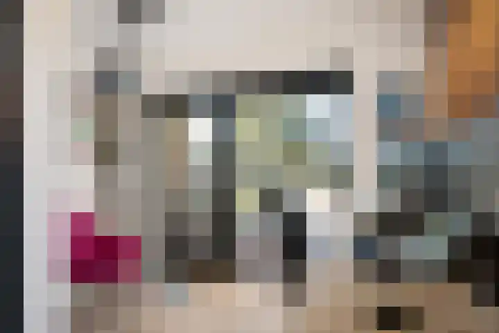 Loire 26 Nieuwerkerk aan den IJssel thumbnail 13