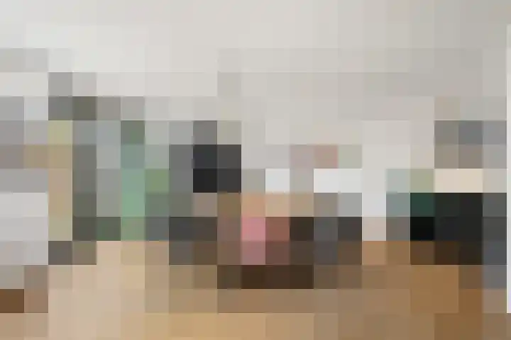 Loire 26 Nieuwerkerk aan den IJssel thumbnail 6