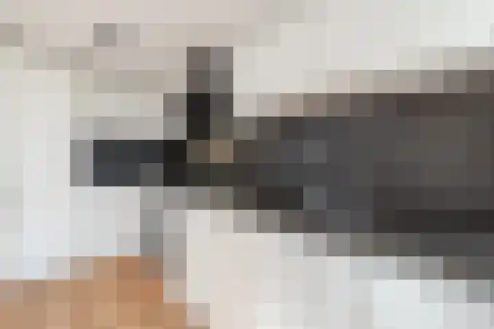 Loire 31 Assen thumbnail 16