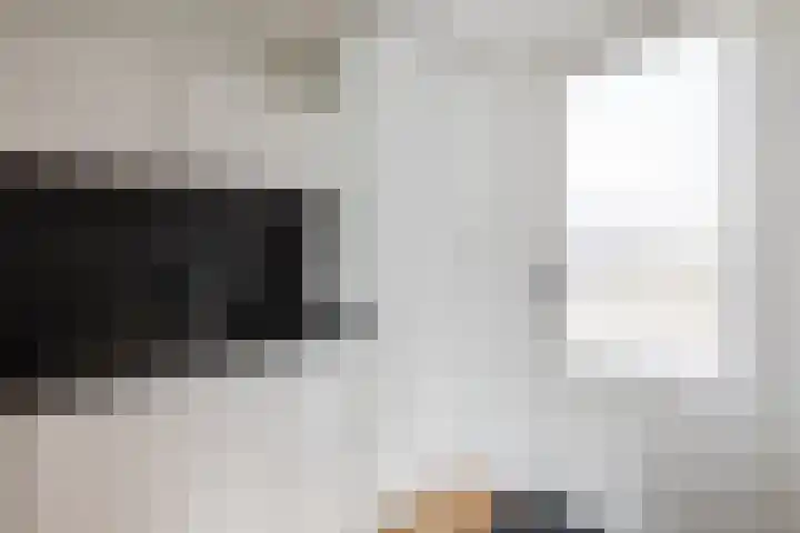 Loire 31 Assen thumbnail 17