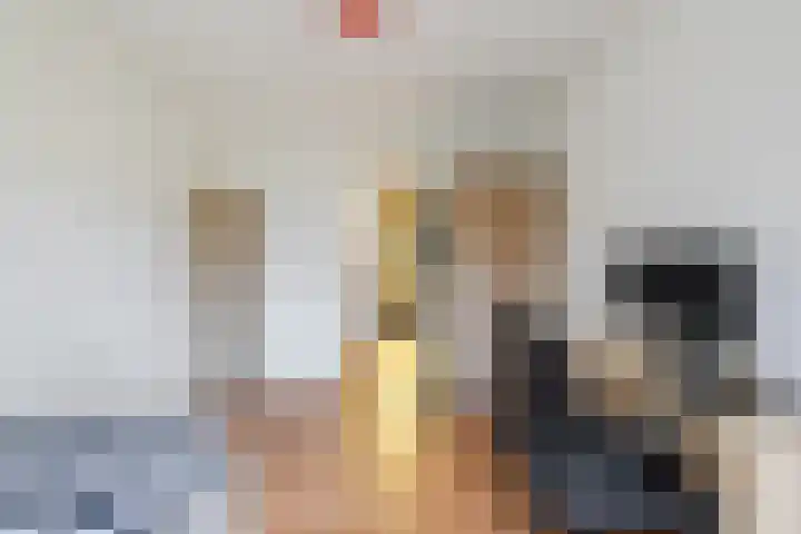 Loire 31 Assen thumbnail 20
