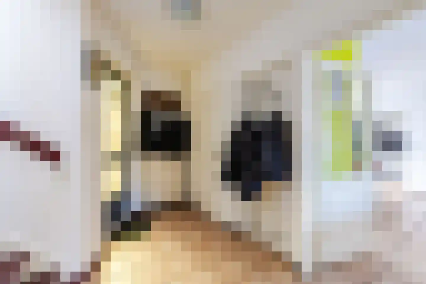 Loire 31 Assen thumbnail 21