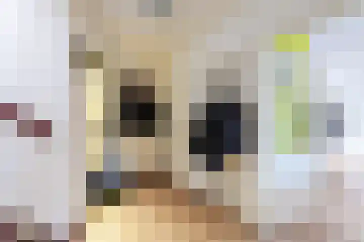 Loire 31 Assen thumbnail 21