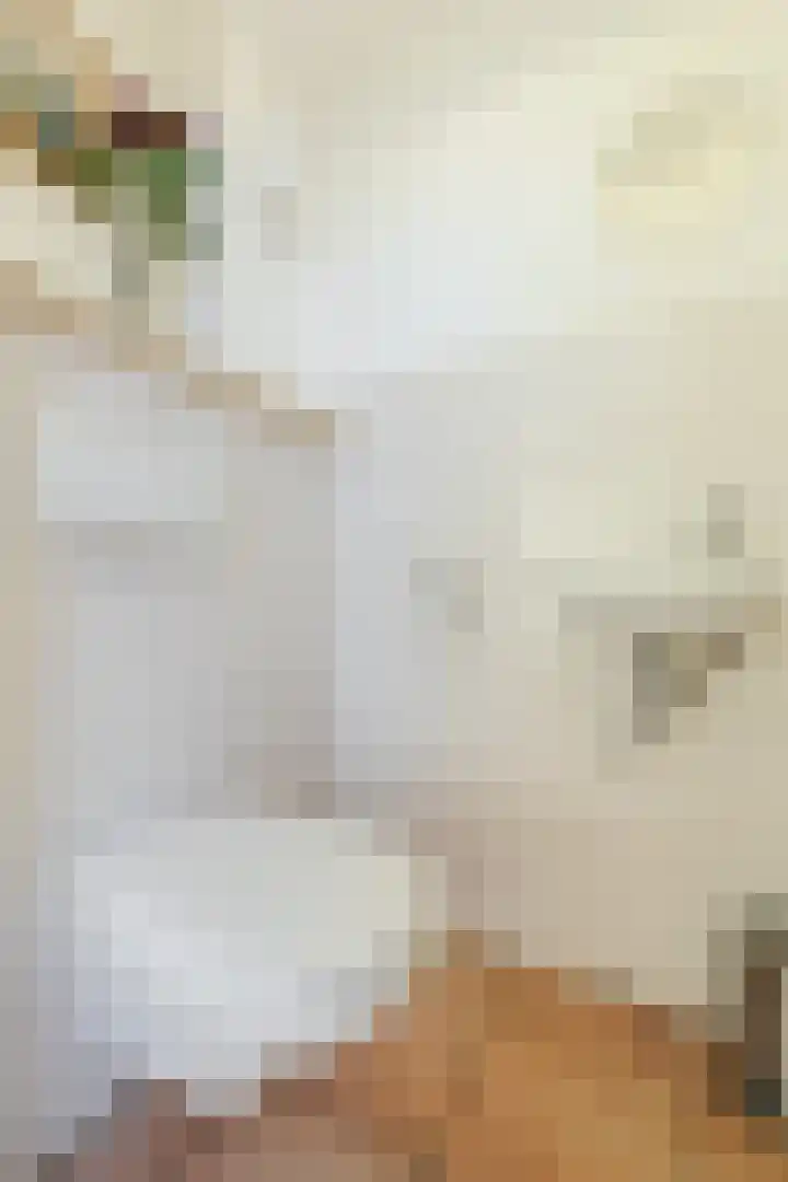 Loire 31 Assen thumbnail 22