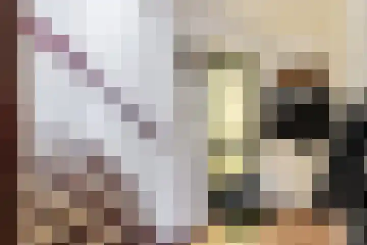 Loire 31 Assen thumbnail 23
