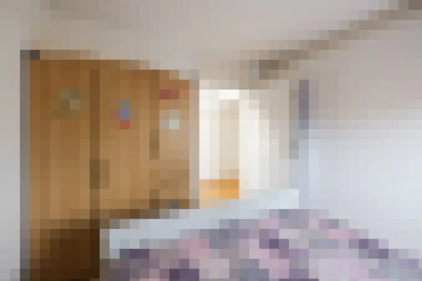 Loire 31 Assen thumbnail 25