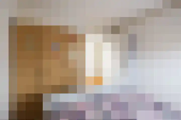 Loire 31 Assen thumbnail 25