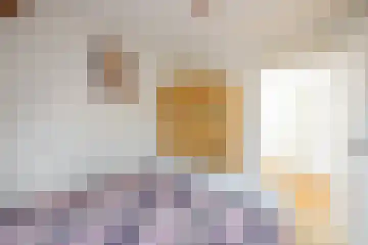 Loire 31 Assen thumbnail 26