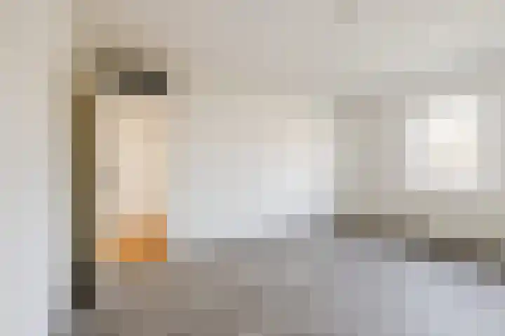 Loire 31 Assen thumbnail 28